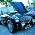 1954 Austin Healey 100 at the Lake Forest Car Show